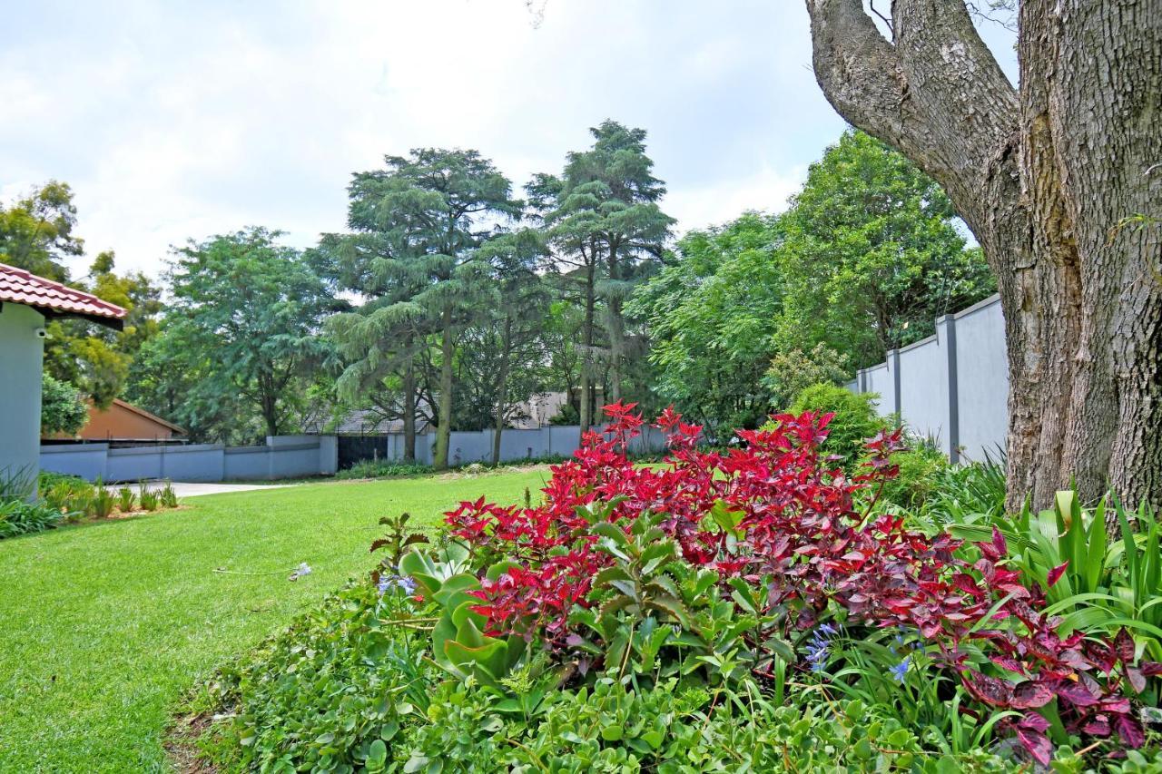 Zwelakho Furnished Apartments The Cube Johannesburg Exteriör bild
